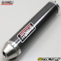 Silencer Aprilia MX 125 (2004 to 2007) Giannelli carbone