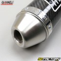 Silencer Aprilia MX 125 (2004 to 2007) Giannelli carbone