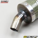 Silencer Honda NSR 125 (1989 to 2002) Giannelli kevlar