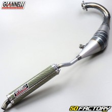 Exhaust Honda NSR 125 (1989 to 2002) Giannelli  kevlar