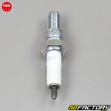 Spark plug NGK CR8E