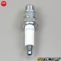 Spark plug NGK BR8HS