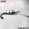 Exhaust body Aprilia RS 125 (1995 to 2011) Giannelli