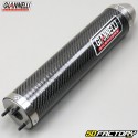 Silencer Aprilia RS 125 (1995 to 2011) Giannelli carbone