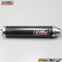 Silencer Aprilia RS 125 (1995 to 2011) Giannelli carbone