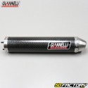 Schalldämpfer
 Aprilia RS 125 (1995 zu 2011) Giannelli Carbon