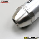 Silencer Aprilia RS 125 (1995 to 2011) Giannelli aluminum