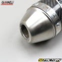 Exhaust line Aprilia RS 125 2T (1995 to 2011) Giannelli carbone