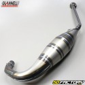 Exhaust line Aprilia RS 125 2T (1995 to 2011) Giannelli carbone