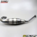 Linea di scarico Aprilia RS 125 2T (1995 a 2011) Giannelli Carbone