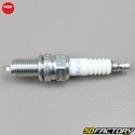 Spark plug NGK DCPR7