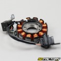 Ignition Stator  Piaggio Fly,  Zip,  Aprilia Scarabeo... 50 4T