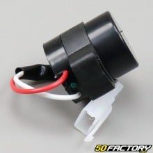 Flasher relay Rieju Toreo, Keeway, Peugeot,  Kymco...