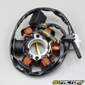 Stator d'allumage Peugeot Kisbee, Citystar, Ludix...