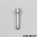 Tornillo de agarre giratorio Peugeot GL10, 103, 104 ...