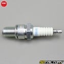 Spark plug NGK BR8EG Racing