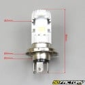 Headlight bulb 12V BA20D white with leds