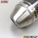 Silencer Yamaha DTX and DTRE 125 (2004 to 2007) Giannelli carbone