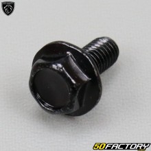 Parafusos Ø6x14 mm do guarda-lamas dianteiro, piso... Peugeot Django,  Kisbee...