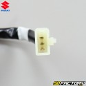 Luce posteriore Suzuki GSX-R e GSX-S 125