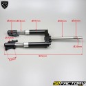 Fork Peugeot Speedfight 3 and 4