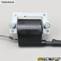 Ignition coil Yamaha DTMX 125 (1980 to 1992)