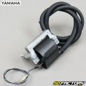 Ignition coil Yamaha DTMX 125 (1980 to 1992)