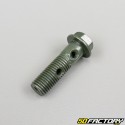 Double banjo brake screw