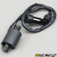 Ignition coil Yamaha YBR,  Beta RE 125 ...