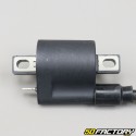 Ignition coil Yamaha YBR,  Beta RE 125â € ¦