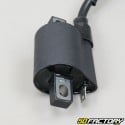 Ignition coil Yamaha YBR,  Beta RE 125â € ¦