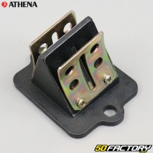 Reed valve block Piaggio air and liquid Typhoon,  NRG... 50 2T Athena