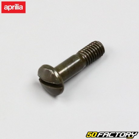 Clutch lever screw and front brake master cylinder Aprilia RS 50 single arm (1993 to 1998)