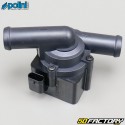 Universelle elektrische Wasserpumpe 12V Polini