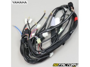 Electrical Harness Yamaha Dt Mbk