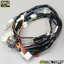 Wiring harness Derbi Senda,  Gilera Smt, Rcr (2004-2010) adaptable