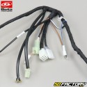 Original wiring harness Beta RR 50 Biker, Track (2004 to 2017) V1