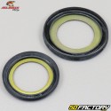 Rolamentos da coluna de direção Yamaha DTR  et  TDR 125 All Balls