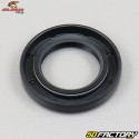 Rear wheel bearings and seals Yamaha DT et  DTMX 125 All Balls