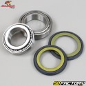 Cuscinetti del piantone dello sterzo Yamaha TW et  SR 125 All Balls