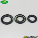 Engine seals Yamaha DT, RD 125â € ¦ Top Performances