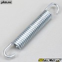 Exhaust spring Yasuni 69mm