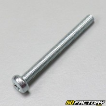 3x30mm cruciform head screw (individually)