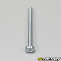 3x30mm cross head screw (per unit)