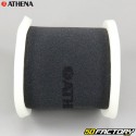 Filtro de ar Polaris Xplorer, Ciclone 250â€¦ Athena