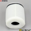 Filtro aria Suzuki LTR 250 (da 1988 a 2001) Athena