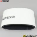 Filtro aria Kawasaki KVF, Brute Force 650, 750 Athena