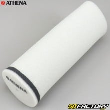 Air filter Yamaha Raptor,  Warrior,  Wolverine 350 and Grizzly 600, 660 Athena