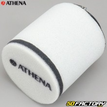 Filtro de aire Honda TRX, Fourtrax 300 (1993 - 2009) Athena