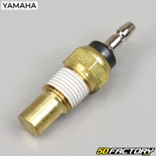 Temperatursensor
 Yamaha DTR  125 (1988 bis 2004)